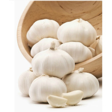 New Pure White Garlic Red Garlic Chinese Supplier with Good Price